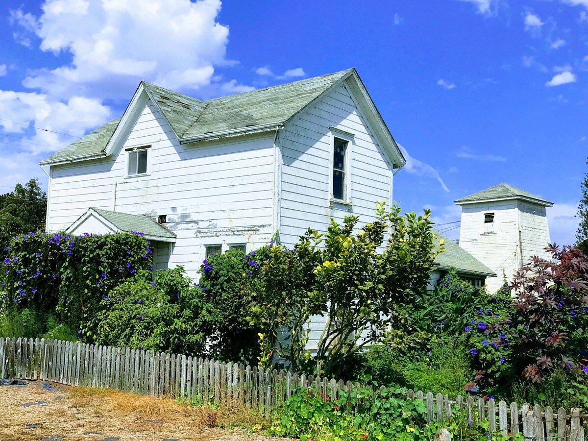 4330 Bodega Ave Petaluma Ca 94952 Commercial Property For Bodega Ave 4330 Farmhouse Front